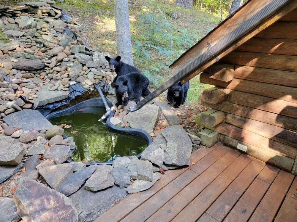 Very Private, Real Log Cabin With Hot Tub! Sevierville Εξωτερικό φωτογραφία