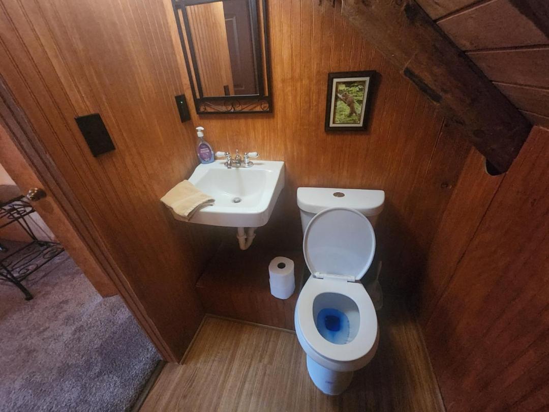 Very Private, Real Log Cabin With Hot Tub! Sevierville Εξωτερικό φωτογραφία